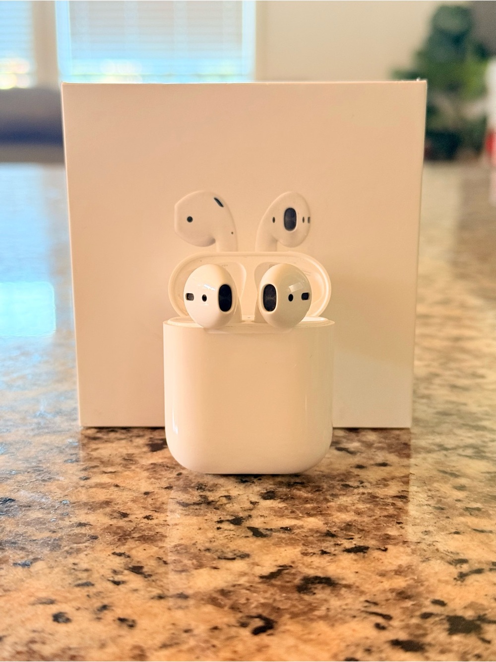 Apple AirPods 2nd Generation with Charging Case